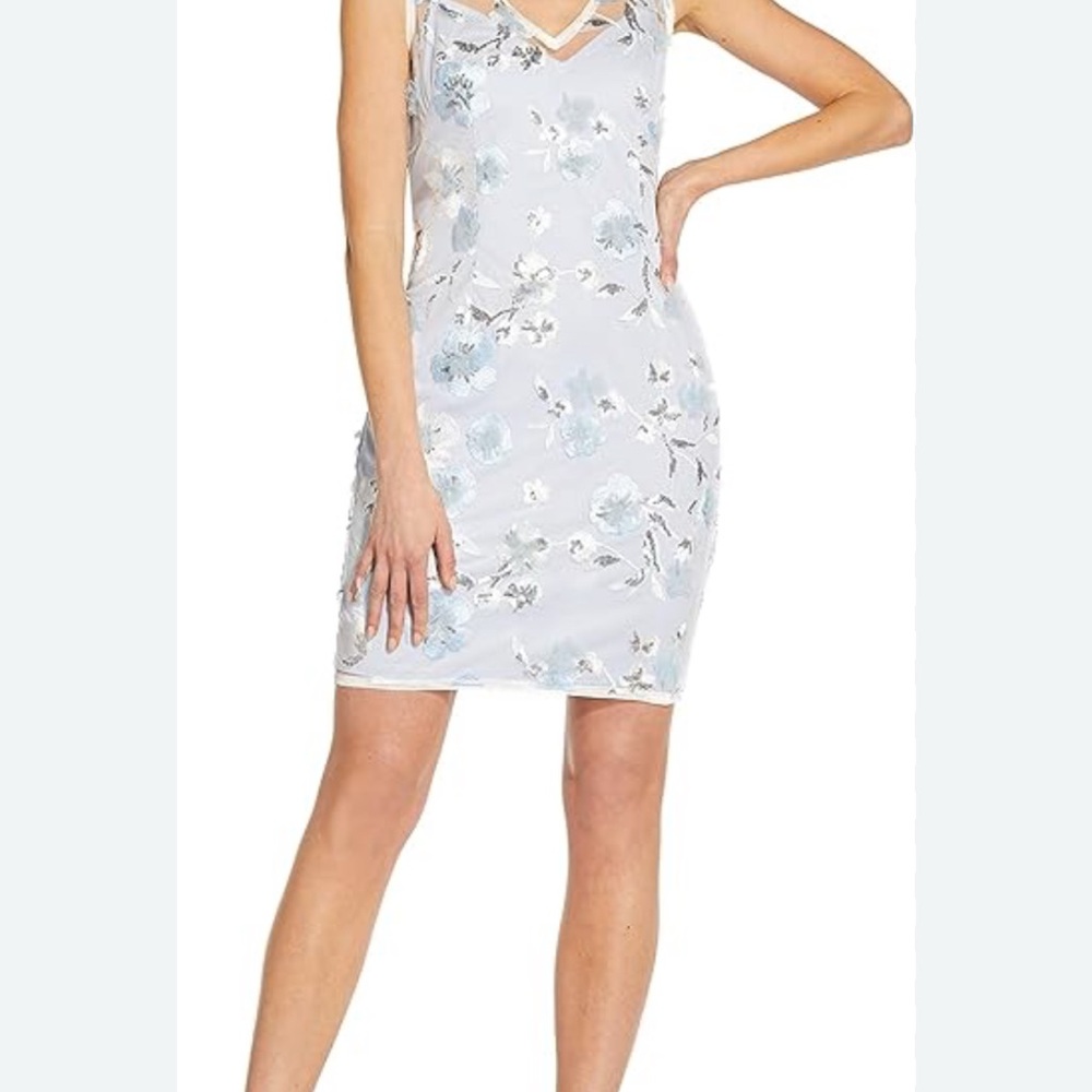 Adrianna Papell dress